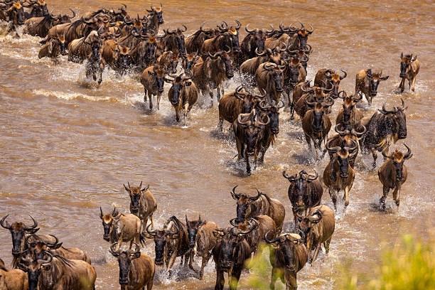 Tanzania Destinations