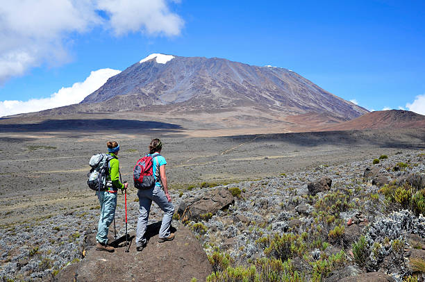 Kilimanjaro hikers