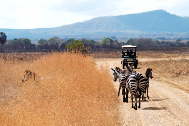 1 Day Mikumi Expedition