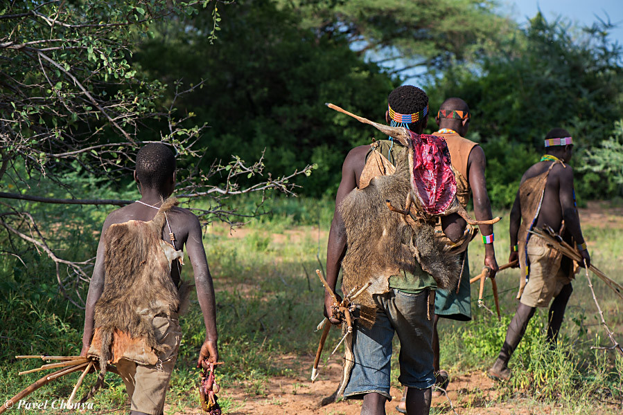 Hadzabe Bushmen