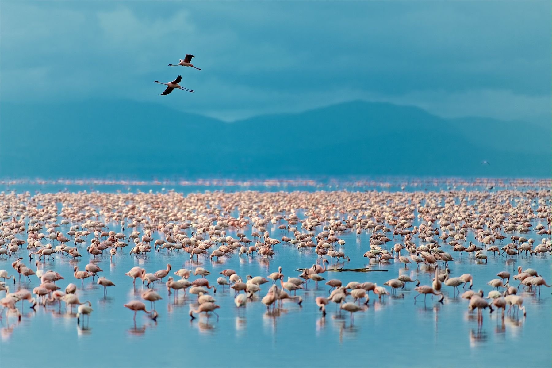 Lake Manyara