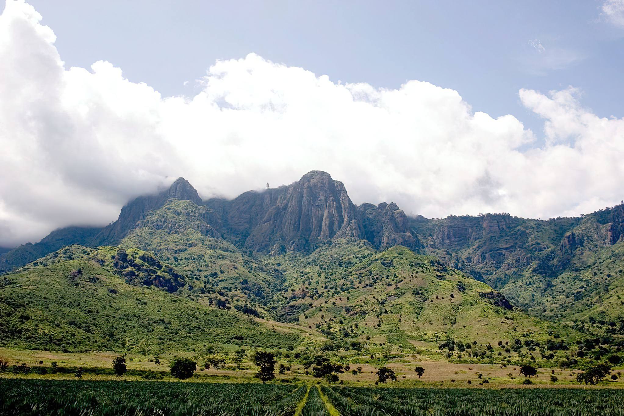 Usambara Mountains