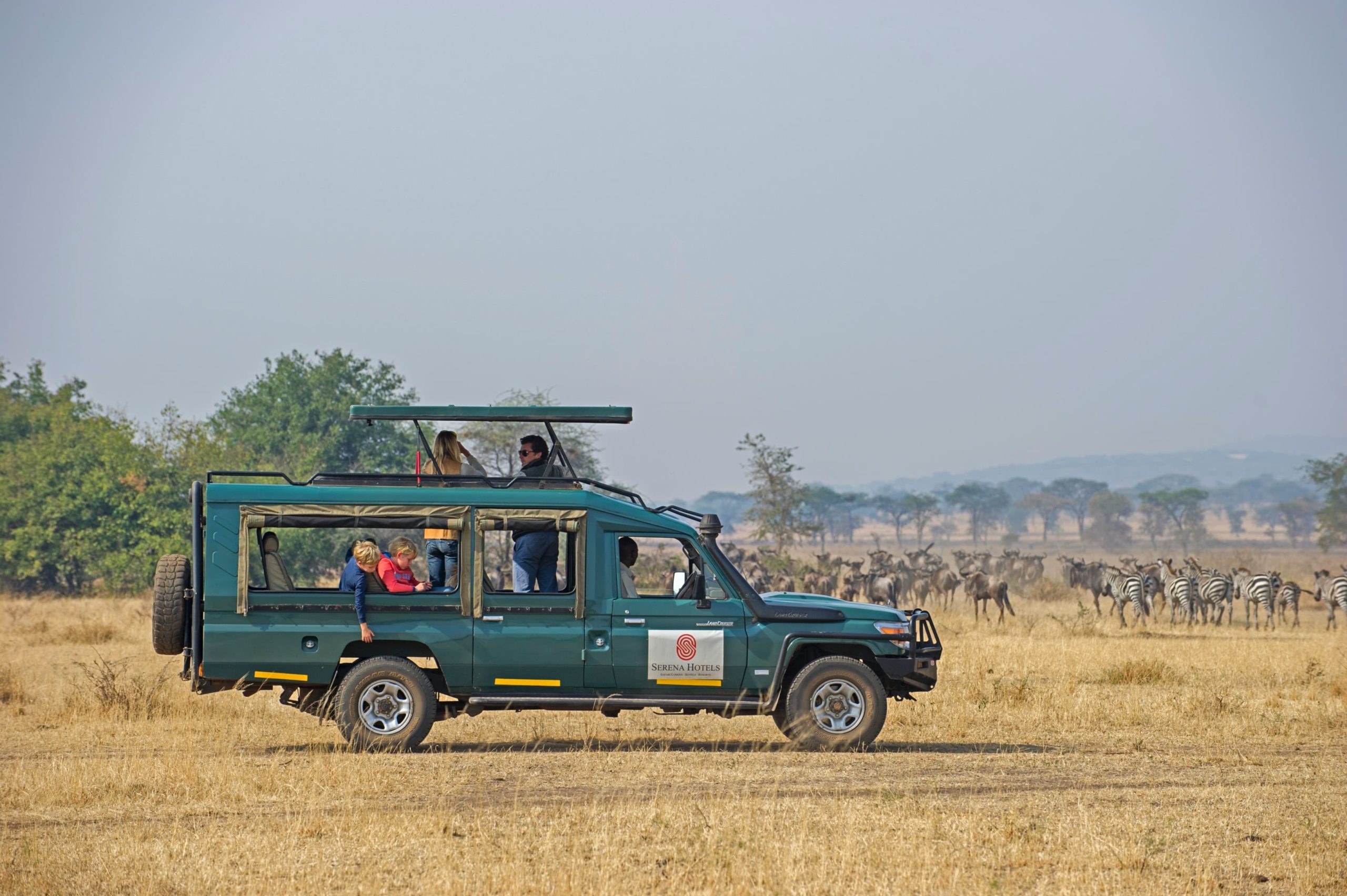 selous-serena-camp-game-drives